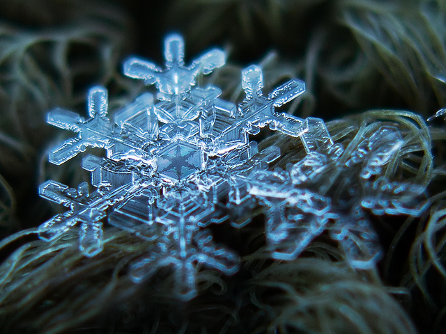 fstoppers snowflakes alexey 5 18 Unbelievable Images of Snowflakes