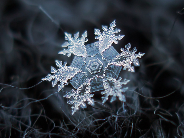 fstoppers snowflakes alexey 7 18 Unbelievable Images of Snowflakes