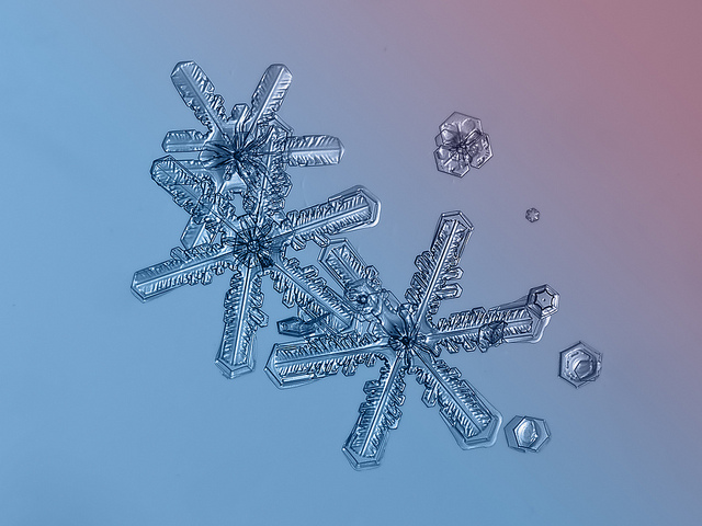 fstoppers snowflakes alexey 9 18 Unbelievable Images of Snowflakes