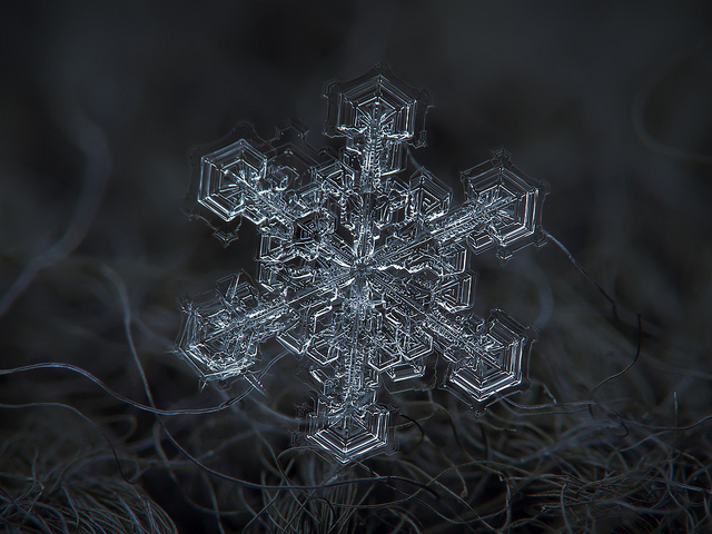 fstoppers snowflakes alexey 12 18 Unbelievable Images of Snowflakes