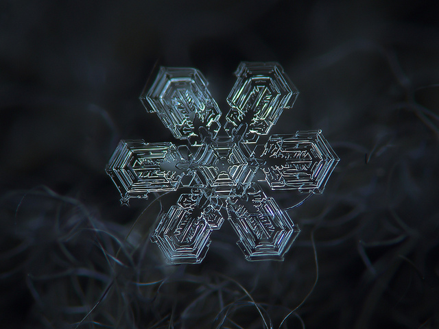 fstoppers snowflakes alexey 18 18 Unbelievable Images of Snowflakes