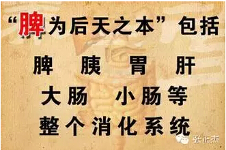 l3引起脾虚的原因有哪些