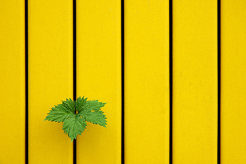 minimal minimalist photography tips